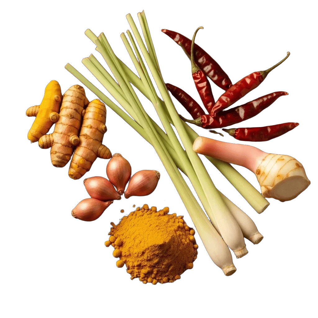 Fresh Malaysian spices